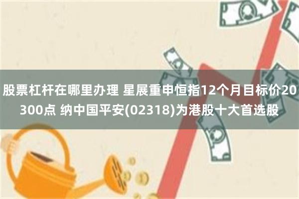 股票杠杆在哪里办理 星展重申恒指12个月目标价20300点 纳中国平安(02318)为港股十大首选股