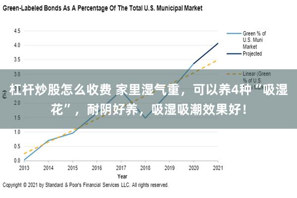 杠杆炒股怎么收费 家里湿气重，可以养4种“吸湿花”，耐阴好养，吸湿吸潮效果好！