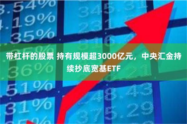 带杠杆的股票 持有规模超3000亿元，中央汇金持续抄底宽基ETF