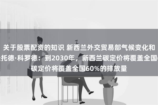 关于股票配资的知识 新西兰外交贸易部气候变化和环境司副司长托德·科罗德：到2030年，新西兰碳定价将覆盖全国60%的排放量