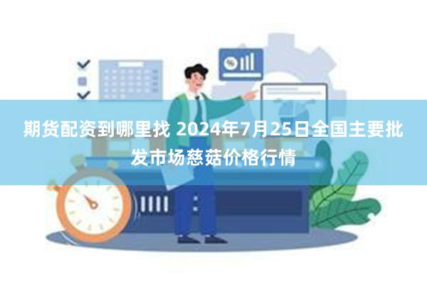 期货配资到哪里找 2024年7月25日全国主要批发市场慈菇价格行情