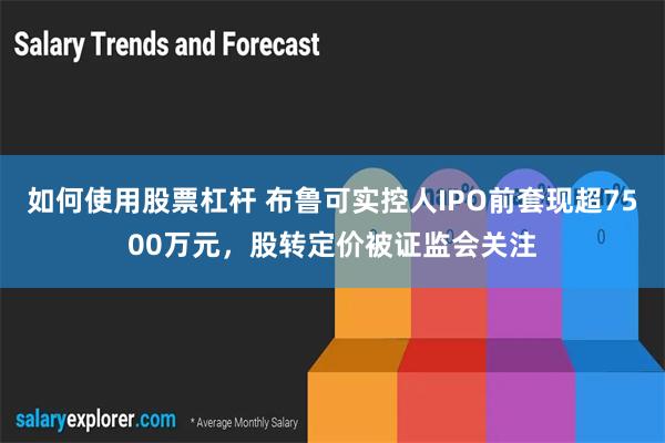 如何使用股票杠杆 布鲁可实控人IPO前套现超7500万元，股转定价被证监会关注