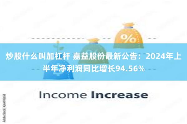 炒股什么叫加杠杆 嘉益股份最新公告：2024年上半年净利润同