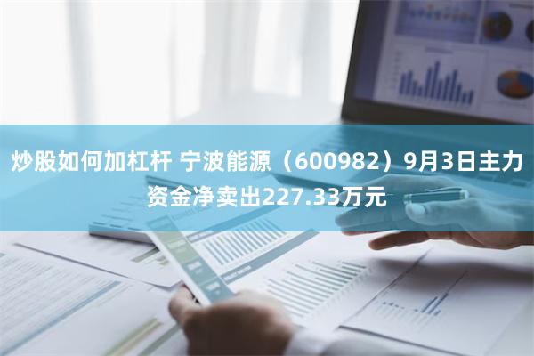 炒股如何加杠杆 宁波能源（600982）9月3日主力资金净卖出227.33万元