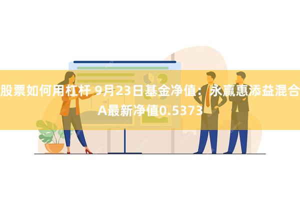 股票如何用杠杆 9月23日基金净值：永赢惠添益混合A最新净值0.5373