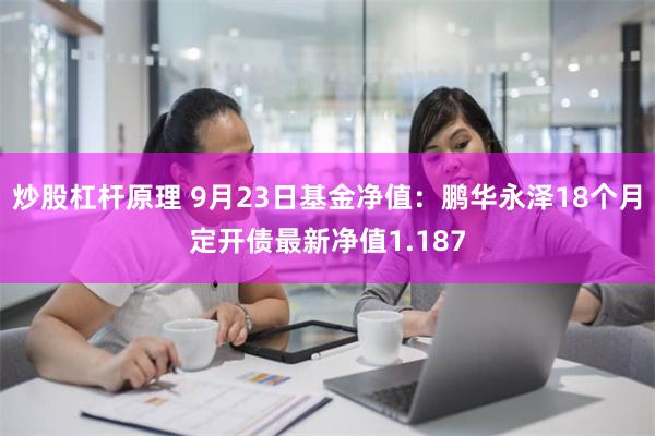 炒股杠杆原理 9月23日基金净值：鹏华永泽18个月定开债最新净值1.187