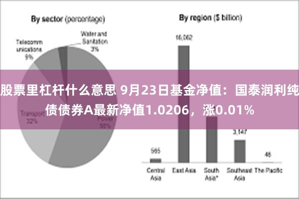 股票里杠杆什么意思 9月23日基金净值：国泰润利纯债债券A最新净值1.0206，涨0.01%