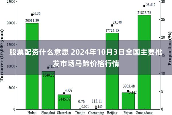 股票配资什么意思 2024年10月3日全国主要批发市场马蹄价格行情