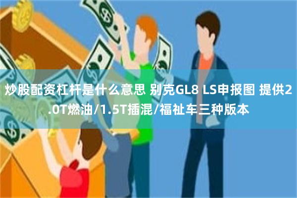 炒股配资杠杆是什么意思 别克GL8 LS申报图 提供2.0T燃油/1.5T插混/福祉车三种版本