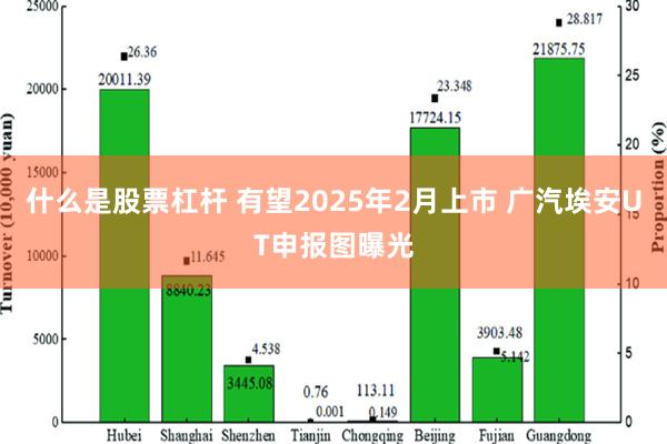 什么是股票杠杆 有望2025年2月上市 广汽埃安UT申报图曝