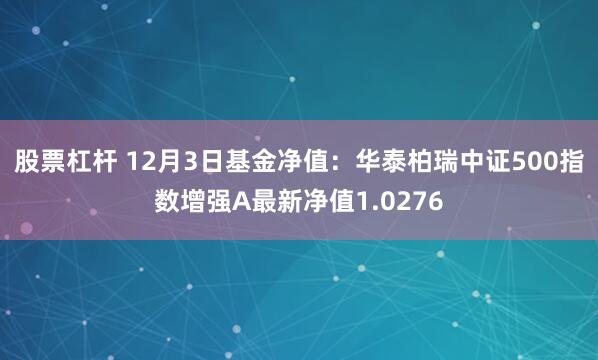 股票杠杆 12月3日基金净值：华泰柏瑞中证500指数增强A最新净值1.0276