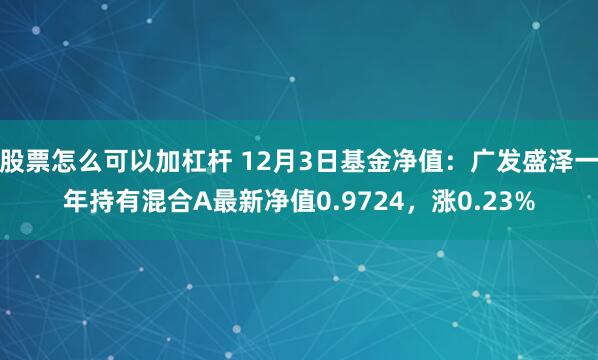 股票怎么可以加杠杆 12月3日基金净值：广发盛泽一年持有混合A最新净值0.9724，涨0.23%