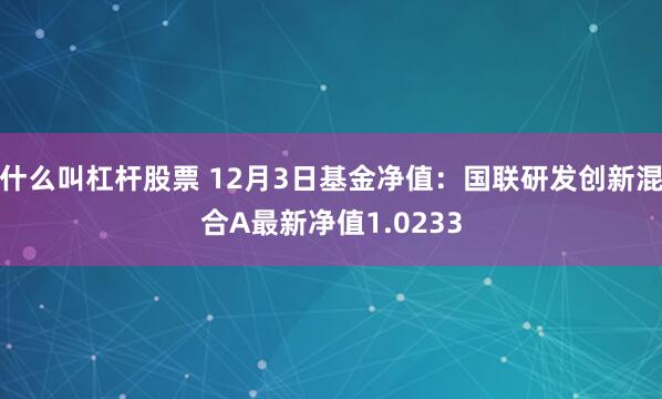 什么叫杠杆股票 12月3日基金净值：国联研发创新混合A最新净值1.0233