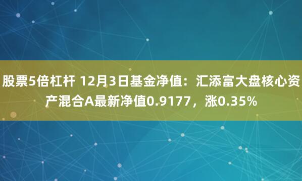 股票5倍杠杆 12月3日基金净值：汇添富大盘核心资产混合A最新净值0.9177，涨0.35%