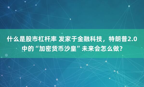 什么是股市杠杆率 发家于金融科技，特朗普2.0中的“加密货币沙皇”未来会怎么做？