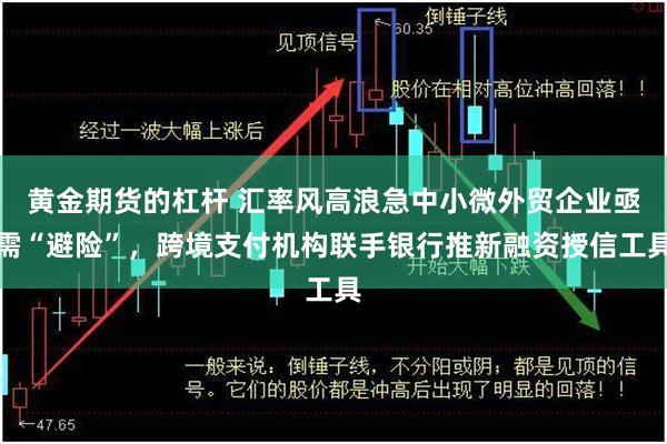 黄金期货的杠杆 汇率风高浪急中小微外贸企业亟需“避险”，跨境支付机构联手银行推新融资授信工具