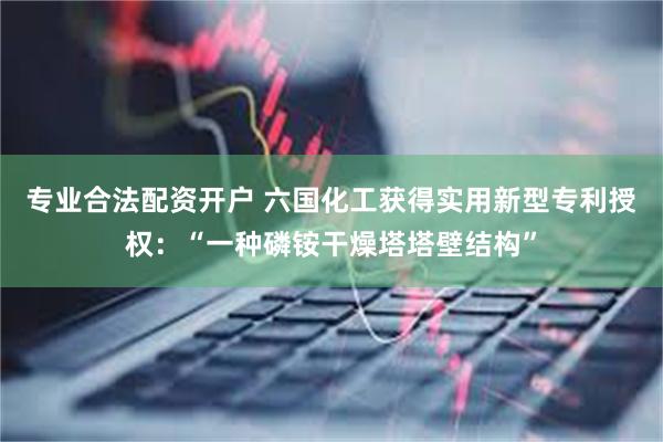 专业合法配资开户 六国化工获得实用新型专利授权：“一种磷铵干燥塔塔壁结构”