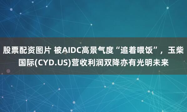 股票配资图片 被AIDC高景气度“追着喂饭”，玉柴国际(CYD.US)营收利润双降亦有光明未来